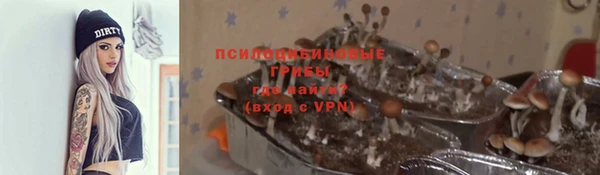 а пвп мука Абдулино