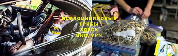 гашик Абинск