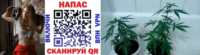 маркетплейс как зайти Агидель Шишки марихуана Ganja наркошоп